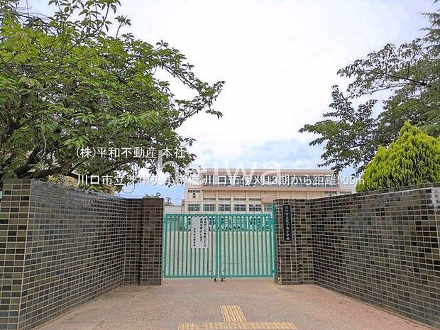 川口市立芝中央小学校 撮影日(2025-05-29) 500m