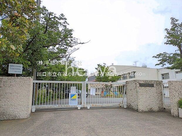 川口市立在家小学校 撮影日(2025-05-29) 460m