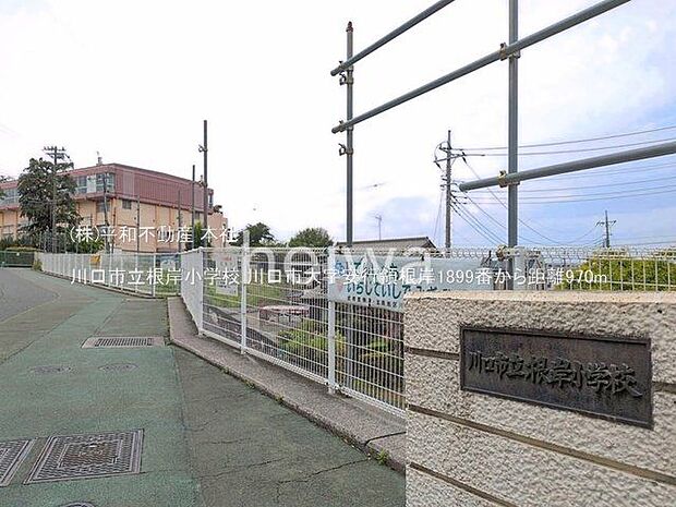 川口市立根岸小学校 撮影日(2025-05-29) 970m