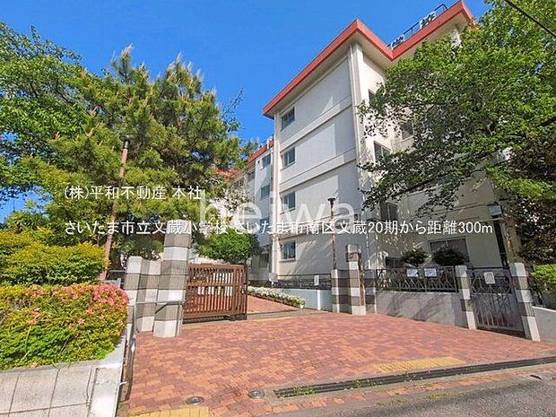 さいたま市立文蔵小学校 撮影日(2025-05-29) 300m