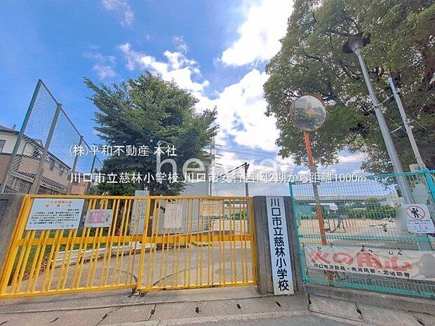川口市立慈林小学校 撮影日(2025-06-01) 1000m