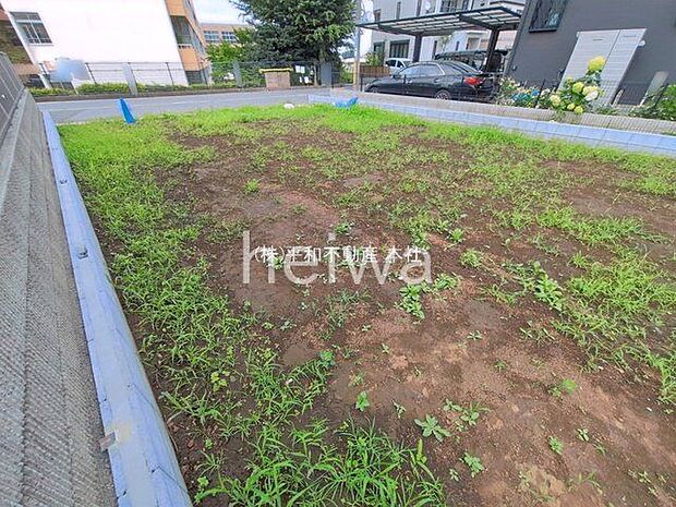 撮影日(2026-06-30 00:00:00)