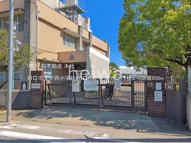 川口市立芝西小学校 撮影日(2026-06-17) 850m