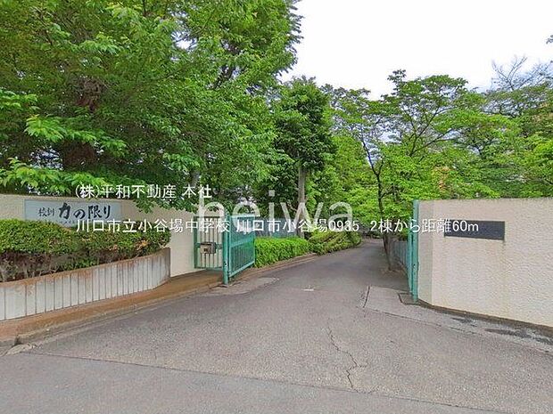 川口市立小谷場中学校 撮影日(2026-04-01) 60m
