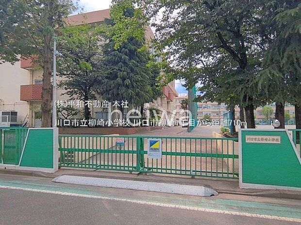 川口市立柳崎小学校 撮影日(2026-06-11) 710m