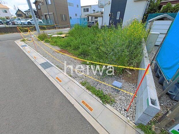 撮影日(2026-05-25 00:00:00)