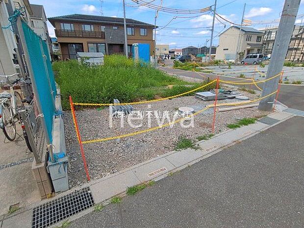 撮影日(2026-05-25 00:00:00)