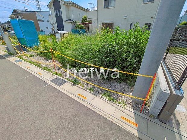 撮影日(2026-05-25 00:00:00)