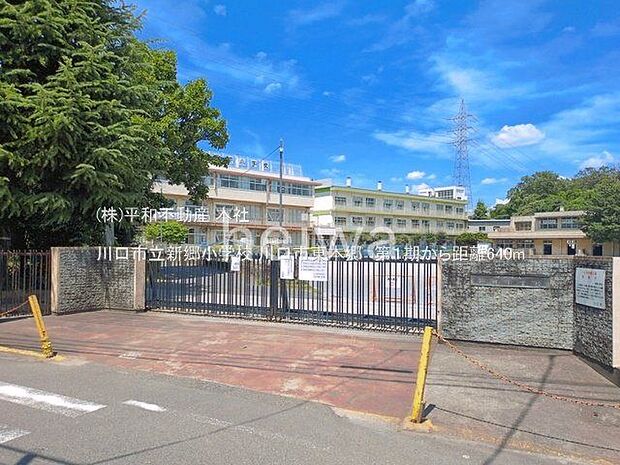 川口市立新郷小学校 撮影日(2026-06-17) 640m