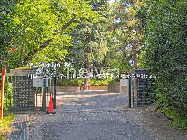 川口市立芝中学校 撮影日(2026-06-17) 2650m