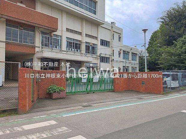 川口市立神根東小学校 撮影日(2026-07-01) 1700m