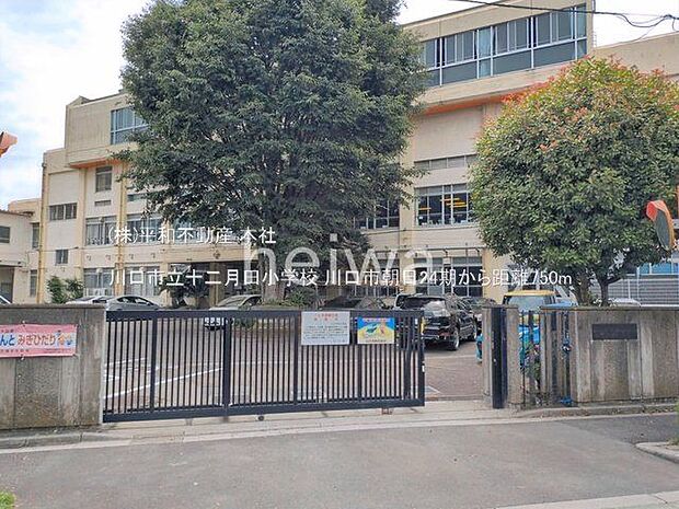 川口市立十二月田小学校 撮影日(2026-06-11) 750m