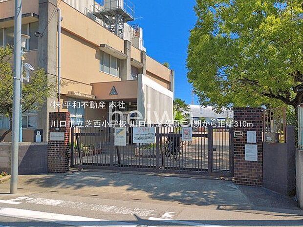 川口市立芝西小学校 撮影日(2026-06-17) 310m