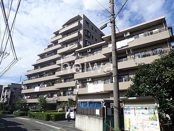 現地写真