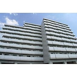 アレックス日乃本