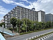 蓮根駅より徒歩6分 8階 築44年9ヶ月の賃貸物件