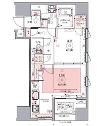 ドムス・スタイル銀座東 11階1Kの間取り