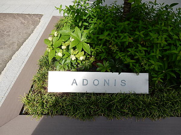 ADONIS（アドニス） 7001｜東京都文京区本郷２丁目(賃貸マンション1LDK・7階・40.76㎡)の写真 その21