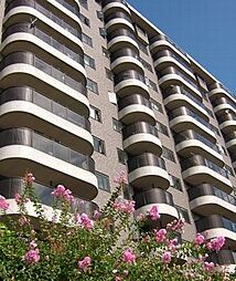 ラピュータ（Lapyuta） 703