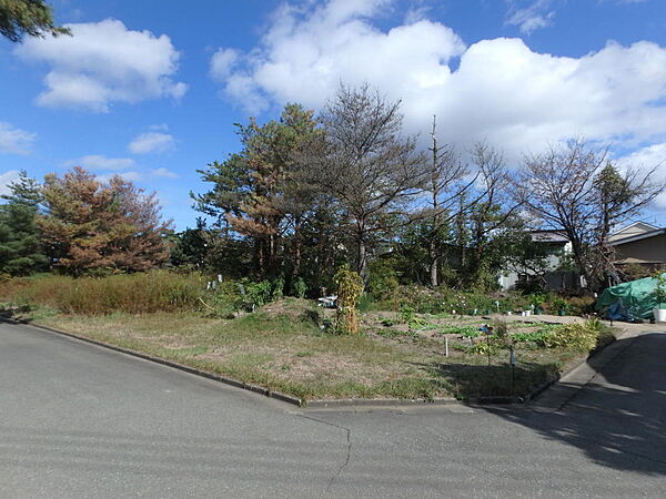 現地写真