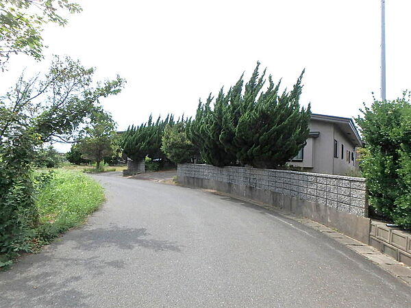 前面道路