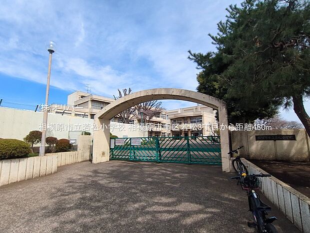相模原市立若松小学校
