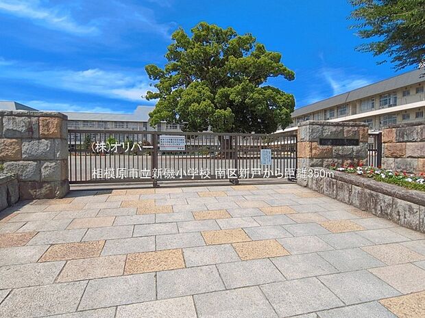 相模原市立新磯小学校