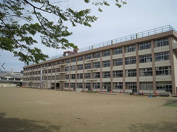 仙台市立榴岡小学校　643ｍ　（徒歩9分）