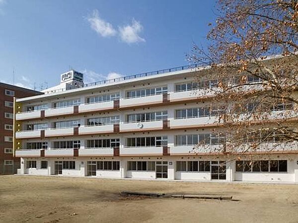 仙台市立荒町小学校（徒歩5分） 391m