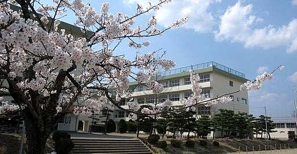 仙台市立加茂小学校（徒歩26分） 2073m