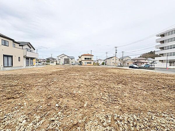 現地（2026年4月5日）撮影