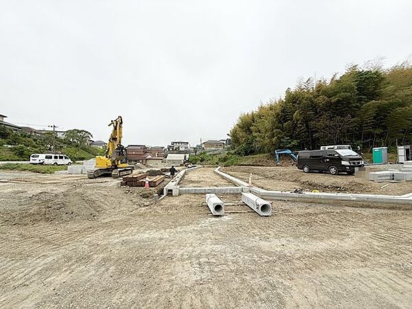 現地（2025年5月15日）撮影