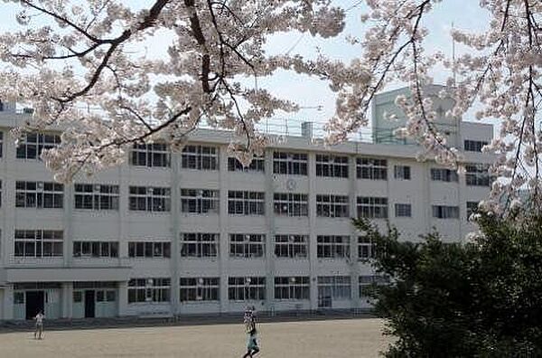仙台市立鹿野小学校（徒歩7分） 513m