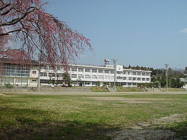 仙台市立根白石中学校 徒歩367分。 29290m