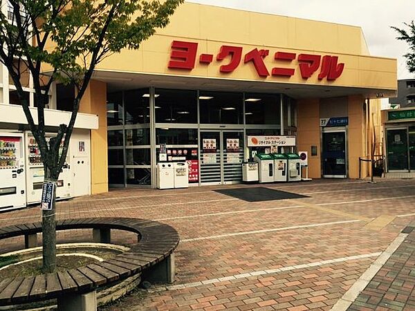 ヨークベニマル真美沢店 徒歩6分。 480m