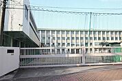 白鳥小学校 734m