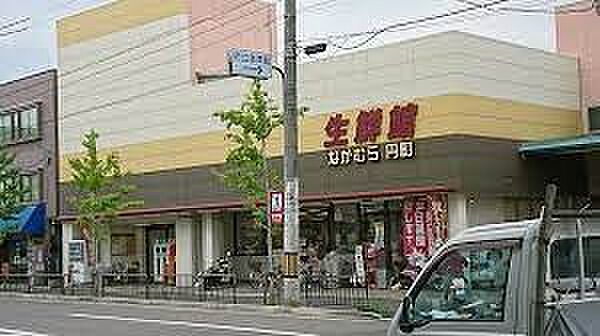 画像9:【スーパー】生鮮館なかむら円町店まで207ｍ