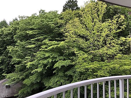 バルコニーからの眺望