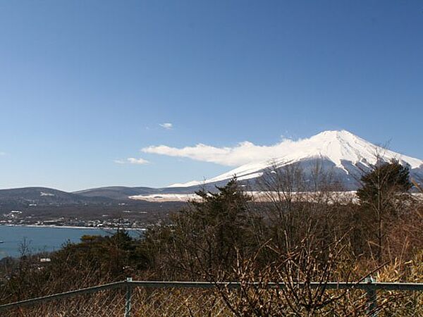 敷地内からの景色