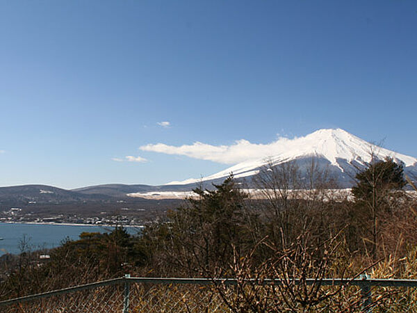敷地内からの景色