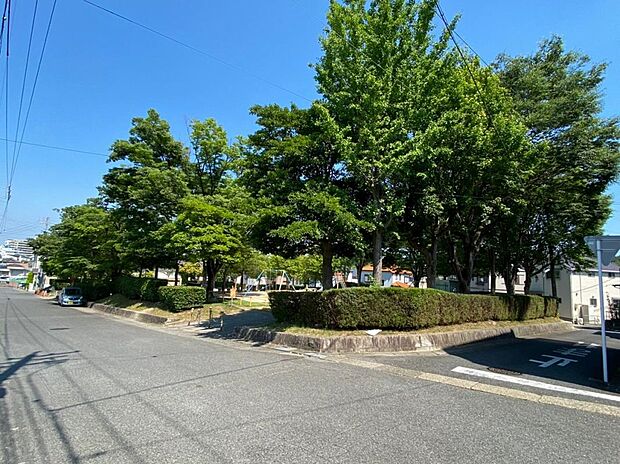 南青山公園(218m)