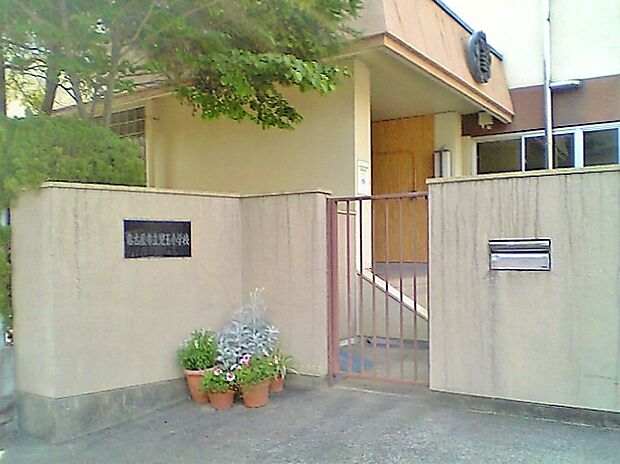 児玉小学校(50m)