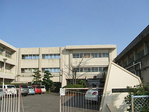 稲沢市立坂田小学校（524m）