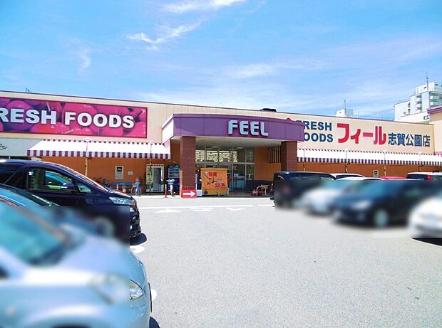 フィール 志賀公園店（527m）