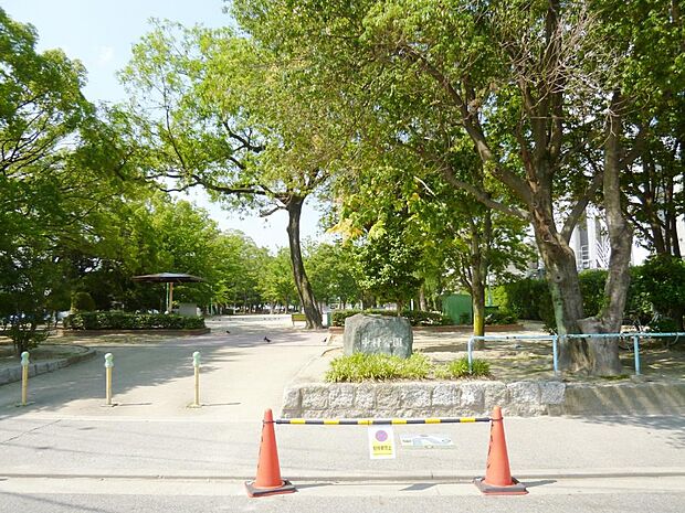 中村公園(607m)