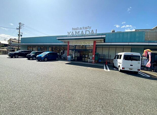 ヤマダイ 瑞穂店(278m)
