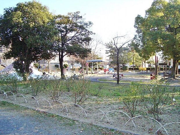 荒子公園(787m)