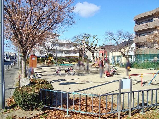 琵琶里公園(250m)