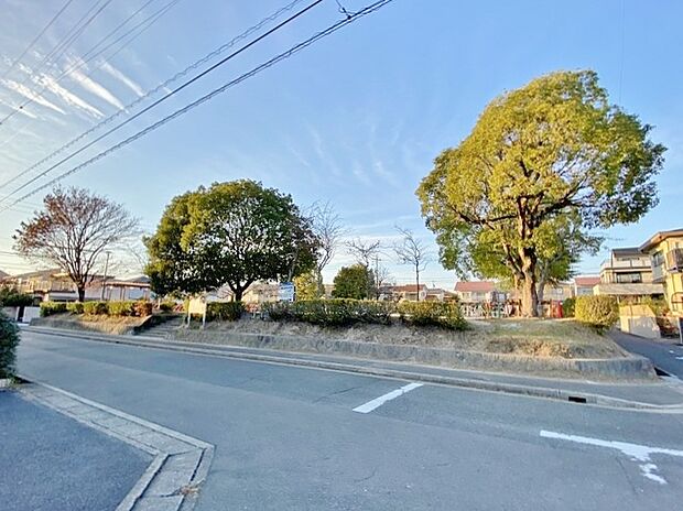 池上公園（290m）