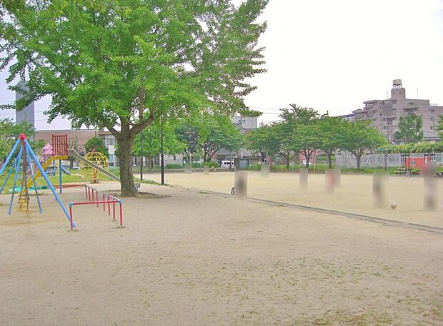 児玉公園（636m）